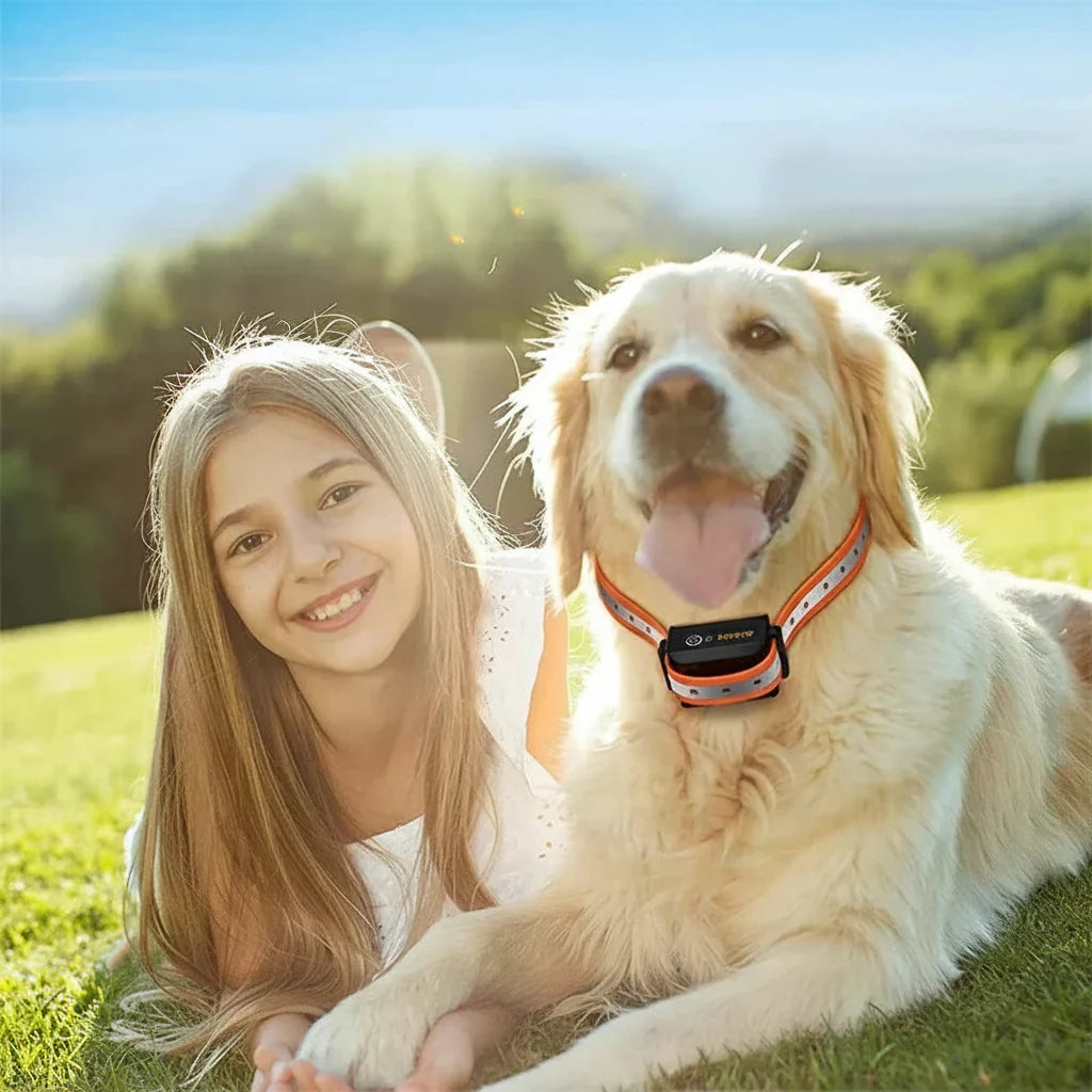 Collier de dressage pour chien avec télécommande 1000m IP67 étanche vibration choc rechargeable